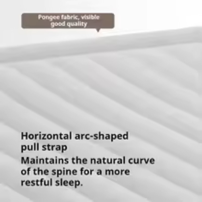Inflatable Air Mattress Built- - Tech Queen review and price