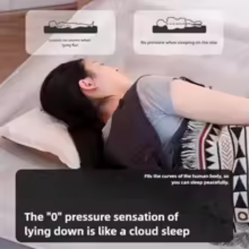 Inflatable Air Mattress Built- - Tech Queen review and price